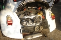 alfa13